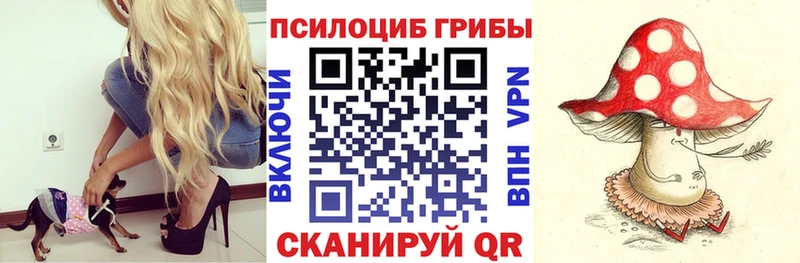 Псилоцибиновые грибы GOLDEN TEACHER  Нюрба 